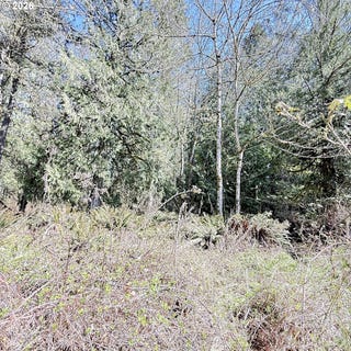 /international/us/n-louisiana-ave-vernonia-or-110107057183/