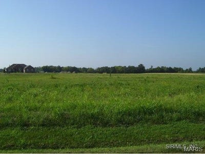 /international/us/4122-knab-road-drive-smithton-il-110003434994/