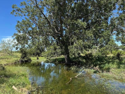 /international/us/unk-county-road-330-bertram-tx-110098934826/