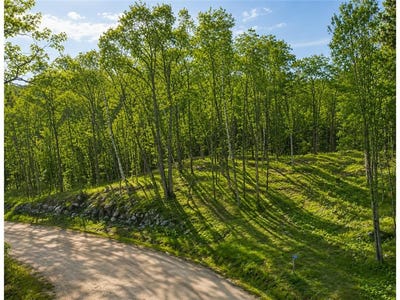 /international/us/480-ridgeway-lane-walker-mn-110104613870/