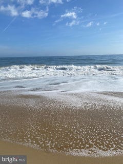 /international/us/443-black-gum-drive-bethany-beach-de-110100195779/