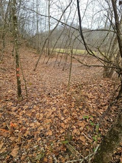 /international/us/tbd-copen-rd-copen-wv-110106764460/