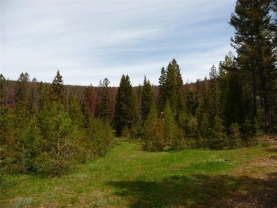 /international/us/263-wild-hill-lane-lincoln-mt-110107632608/