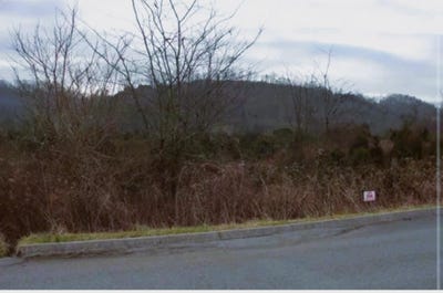 /international/us/lot-206-wedge-way-tazewell-tn-110096233858/