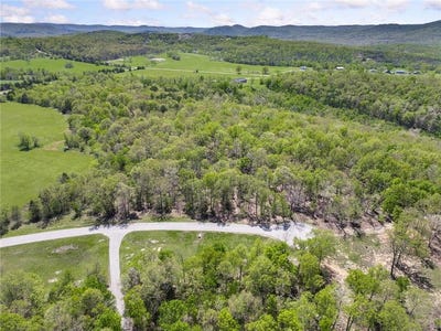 /international/us/white-river-valley-mountain-home-ar-110098844686/?lang=zh-tw