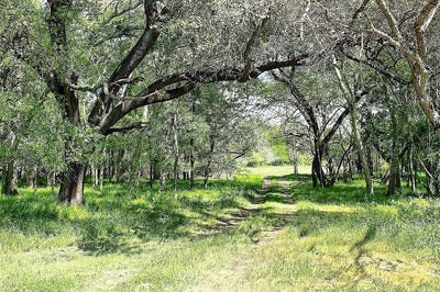 /international/us/scott-road-weimar-tx-110102582504/