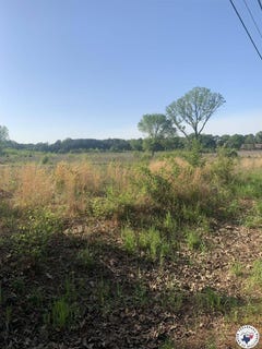 /international/us/4-94-acres-mount-olive-texarkana-ar-110101394363/?lang=zh-cn