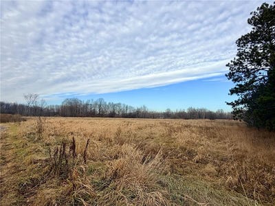 /international/us/forest-boulevard-rush-city-mn-110106919391/