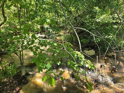 /international/us/tr-53-54-58-pine-tree-trail-albion-ok-110099860039/