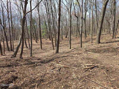 /international/us/l135-2-rockledge-road-hillsdale-ny-110108740966/