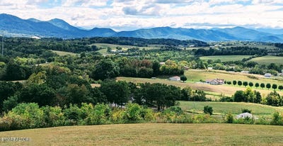 /international/us/208-n-hwy-340-parrottsville-tn-110100851948/