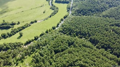 /international/us/5-45-acres-off-pr-3629-lamar-ar-110100619220/