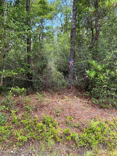 /international/us/1695-beech-road-southport-nc-110092461340/?lang=zh-cn