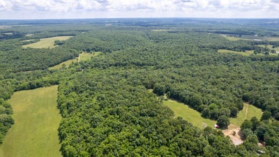 /international/us/state-highway-mm-niangua-mo-110108467771/