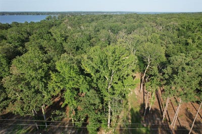 /international/us/3226-shadow-pine-drive-larue-tx-110101957008/