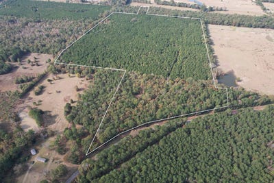 /international/us/tbd-a-boggy-road-waskom-tx-110103546883/