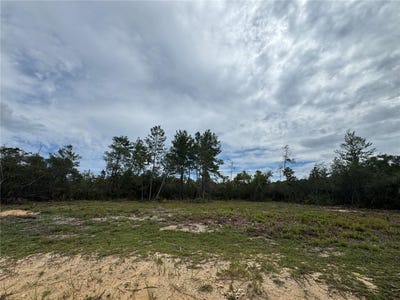 /international/us/ne-135th-st-salt-springs-fl-110102229470/