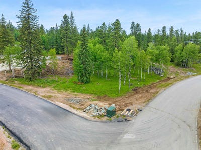 /international/us/lot-12-block-4-trailside-road-lead-sd-110104276112/