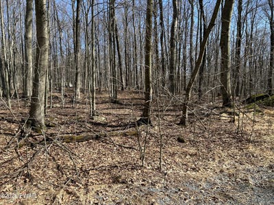 /international/us/saw-mill-road-lot-2230r-greentown-pa-110107161148/