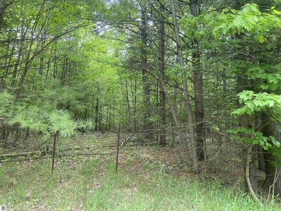 /international/us/s-poor-farm-road-harrisville-mi-110100048456/?lang=zh-tw