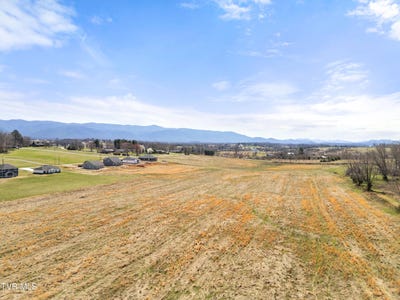 /international/us/lot-20-greenwood-road-afton-tn-110098243845/?lang=zh-tw