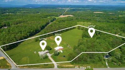 /international/us/7080-alabama-hwy-73-bryant-al-110099269294/