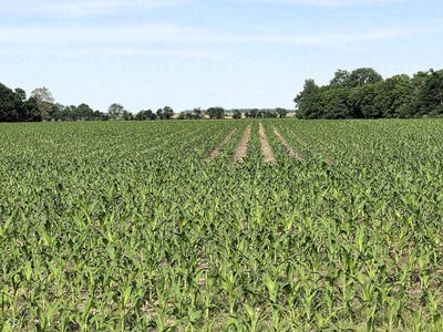 /international/us/0-n-state-road-75-north-salem-in-110108300048/