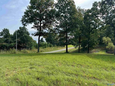 /international/us/113-high-bluff-drive-gurley-al-110092909982/