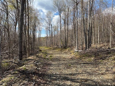 /international/us/hollenbeck-road-worcester-ny-110104342504/