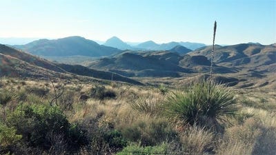 /international/us/6363-cedar-springs-road-terlingua-tx-110077367324/