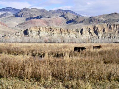 /international/us/24950-hwy-93-challis-id-110103759384/