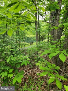 /international/us/1367-ed-arnold-road-augusta-wv-110100308156/?lang=zh-cn