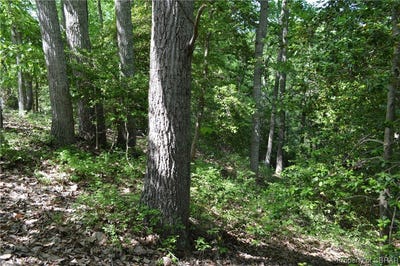 /international/us/0114-buoy-drive-heathsville-va-110090074255/