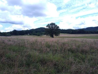 /international/us/460-skaggs-road-morehead-ky-110101402058/?lang=zh-tw