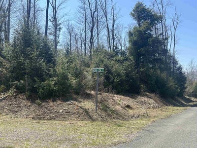 /international/us/florence-court-lot-193-davis-wv-110098915212/