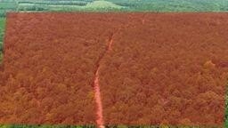 /international/us/county-road-34-hurtsboro-al-110109371354/