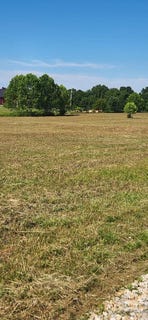 /international/us/hester-ridge-road-lot-3-wallingford-ky-110109038544/