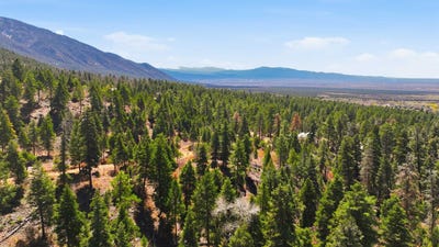 /international/us/el-salto-road-arroyo-seco-nm-110107007962/