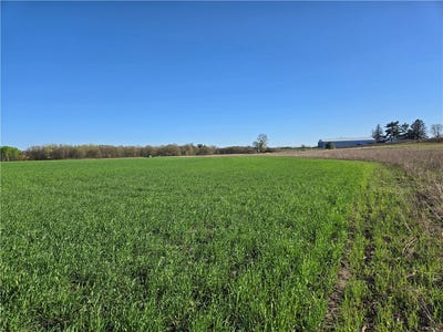 /international/us/16-74-acres-county-road-n-wheeler-wi-110099476178/