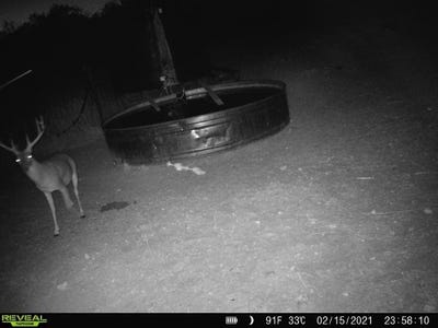 /international/us/100-cr-186-mullin-tx-110102737099/