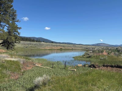 /international/us/27989-us-hwy-64-eagle-nest-nm-110075841203/
