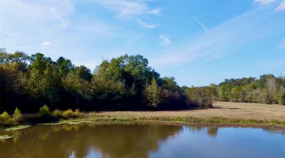 /international/us/county-road-4025-lovelady-tx-110110135224/