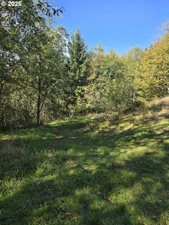 /international/us/0-2500-rd-toutle-wa-110099483788/