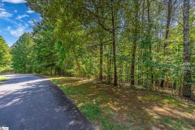 /international/us/111-sweetshrub-way-sunset-sc-110103594945/