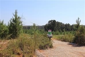/international/us/280-ridge-rd-seale-al-110108145216/