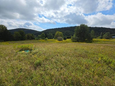 /international/us/1418-county-rd-16-smyrna-ny-110110145929/