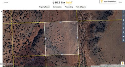 /international/us/big-valley-ranches-10ac-concho-az-110104139337/