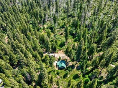/international/us/47824-brammer-purl-road-oakhurst-ca-110096829250/