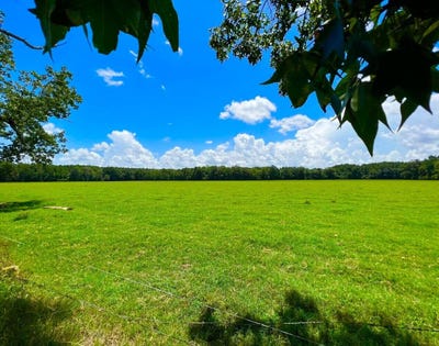 /international/us/707-county-road-223-new-brockton-al-110100970483/