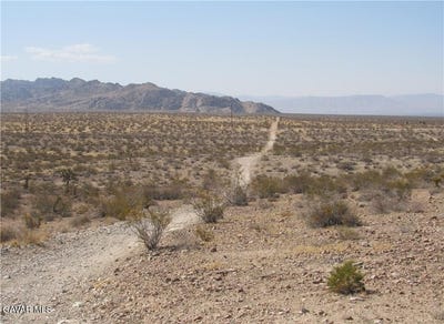 /international/us/0463111110000-leaping-lizard-lane-apple-valley-ca-110106678818/